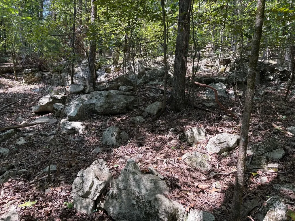 0 Byrd Drive Owens Cross Roads AL 35763