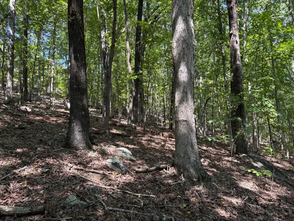 0 Byrd Drive Owens Cross Roads AL 35763