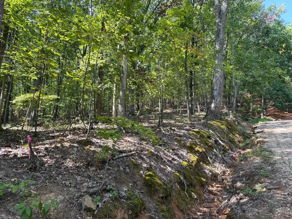 0 Byrd Drive Owens Cross Roads AL 35763