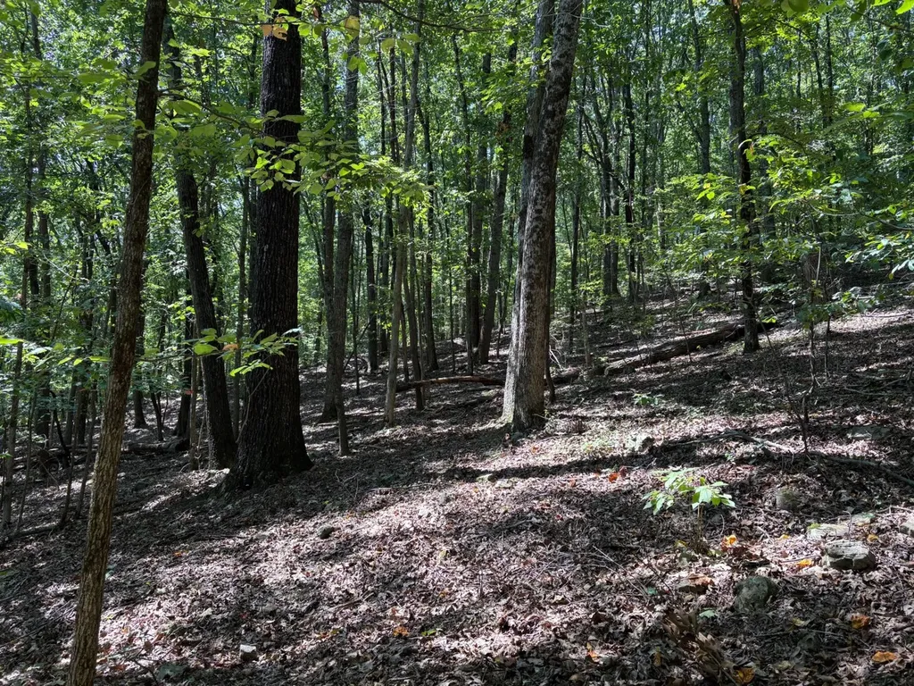 0 Byrd Drive Owens Cross Roads AL 35763