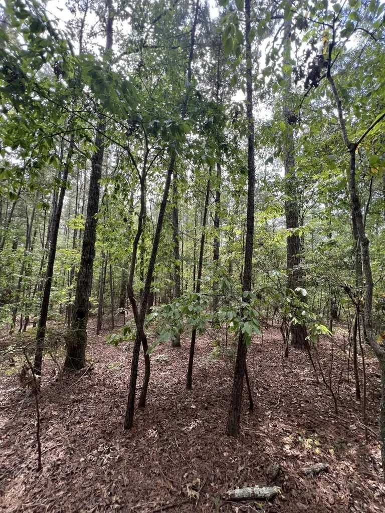 0 Jim Jones Road Cottondale AL 35453