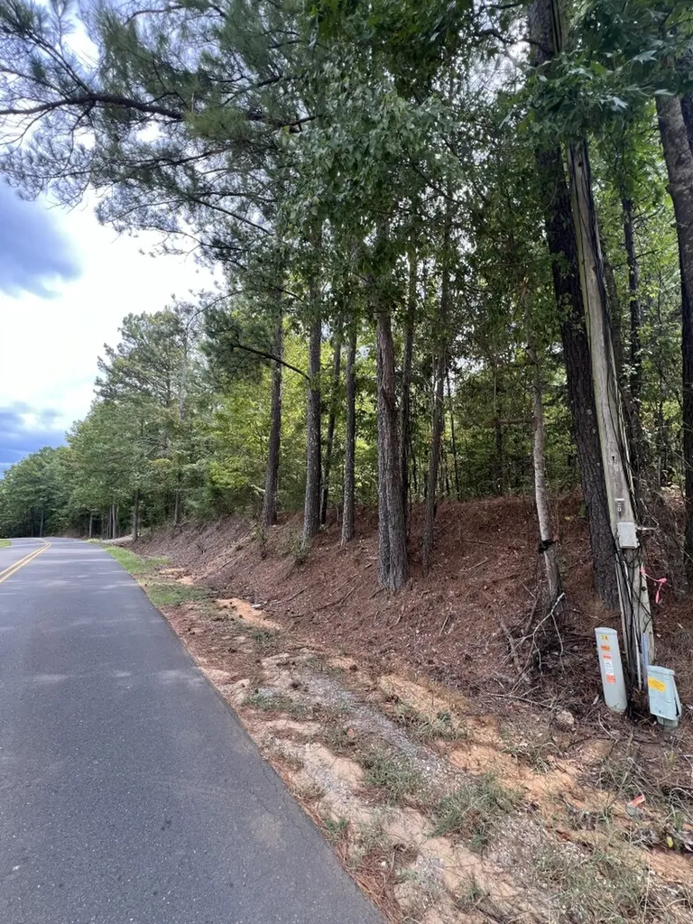 0 Jim Jones Road Cottondale AL 35453