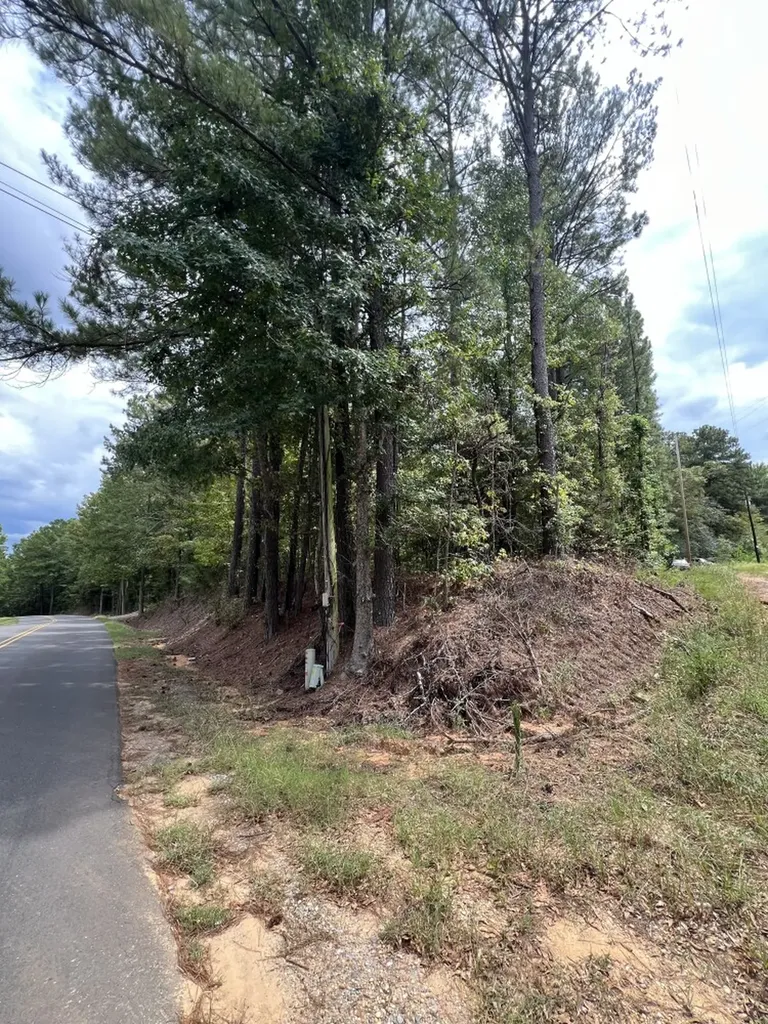 0 Jim Jones Road Cottondale AL 35453