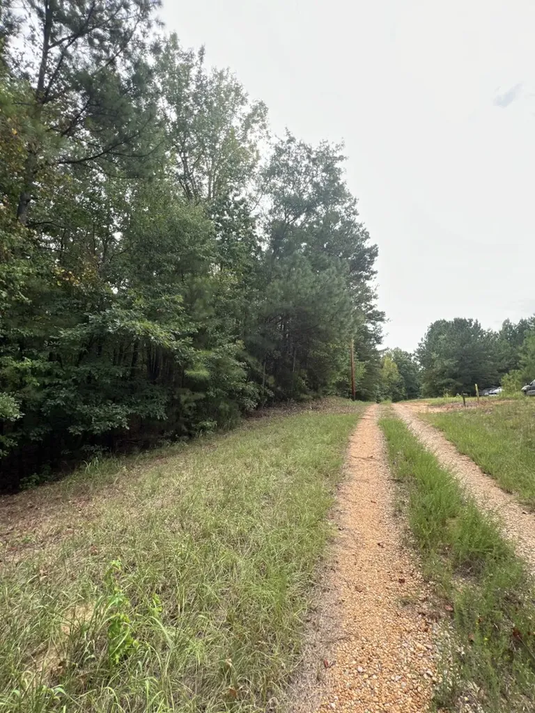 0 Jim Jones Road Cottondale AL 35453