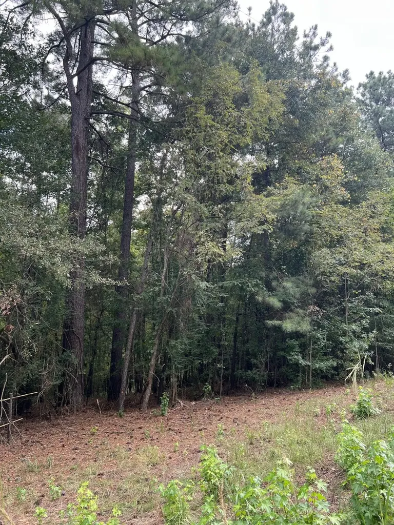 0 Jim Jones Road Cottondale AL 35453