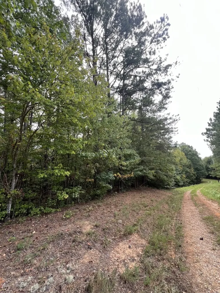 0 Jim Jones Road Cottondale AL 35453