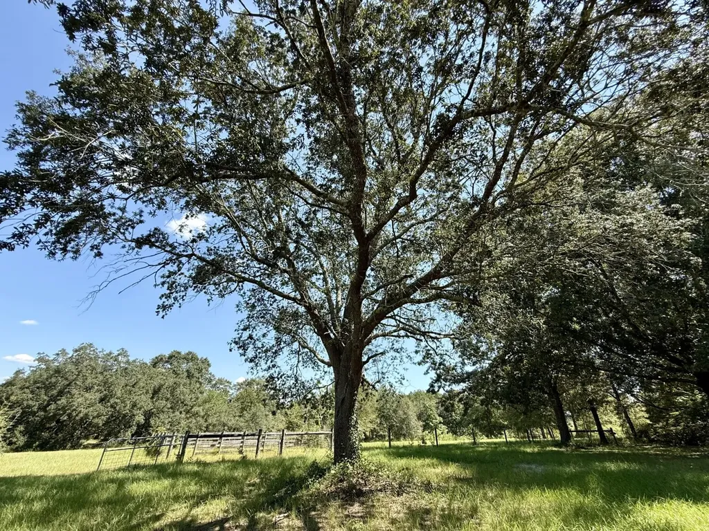 27505 Glass Road Robertsdale AL 36567