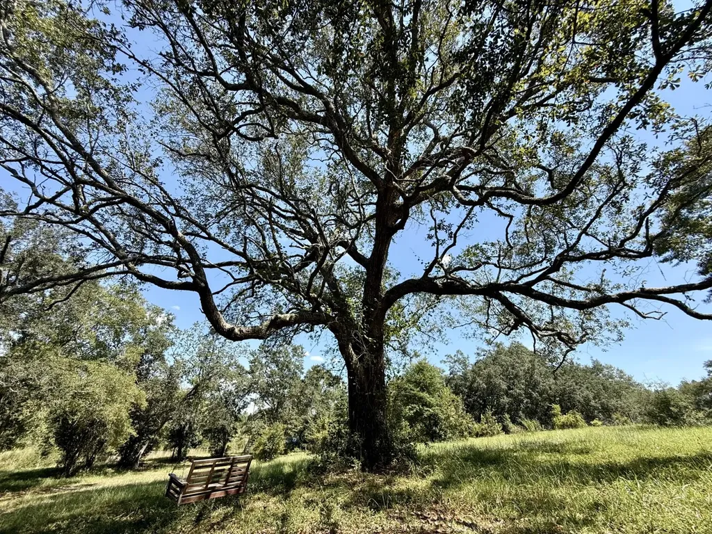 27505 Glass Road Robertsdale AL 36567