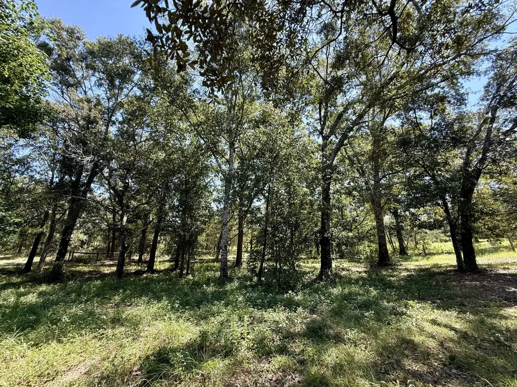 27505 Glass Road Robertsdale AL 36567