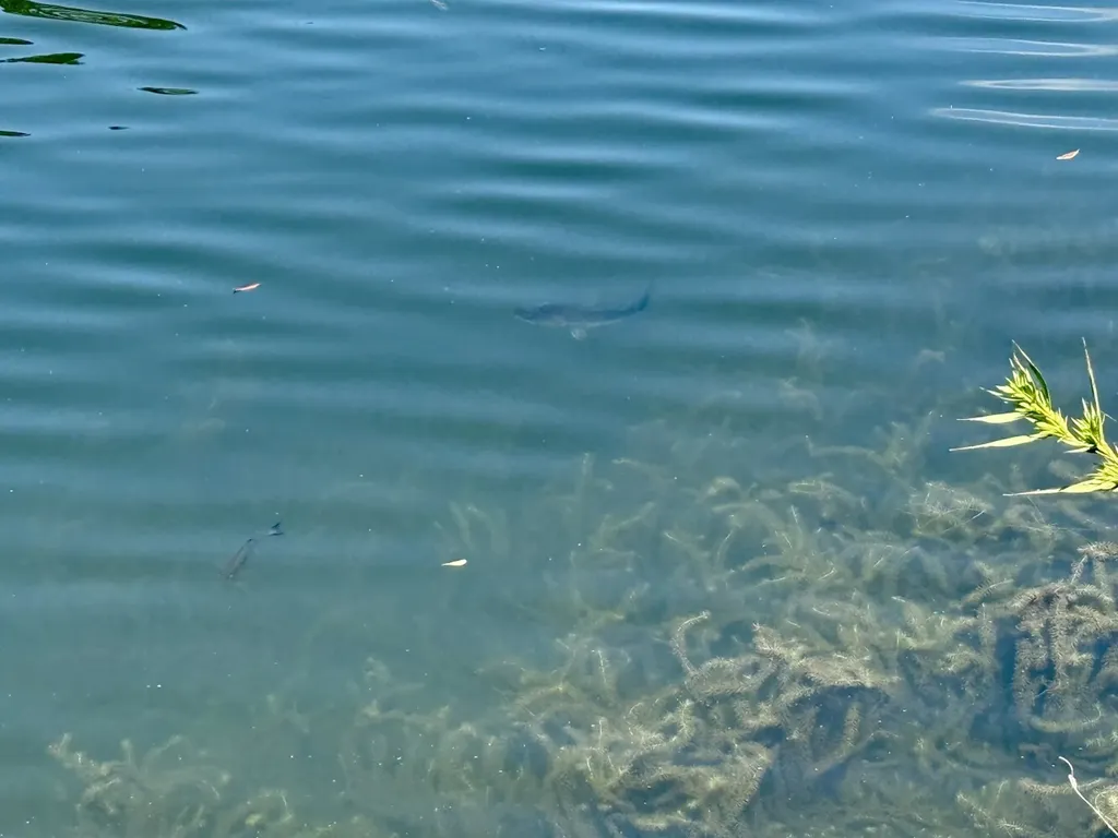 27505 Glass Road Robertsdale AL 36567