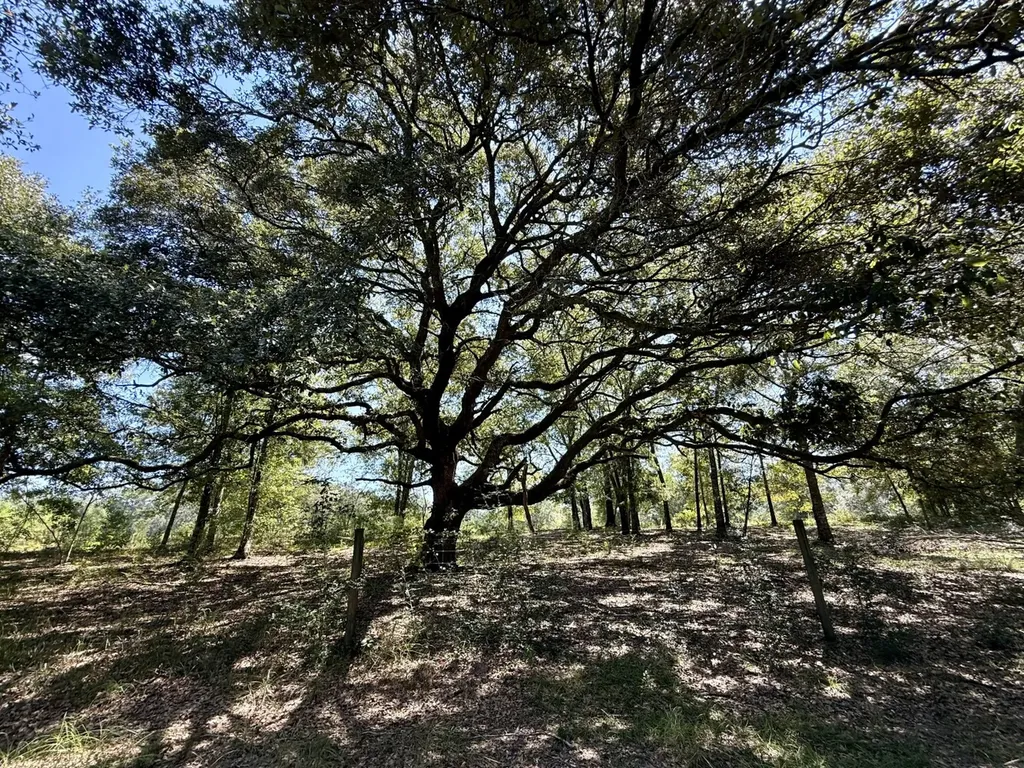 27505 Glass Road Robertsdale AL 36567