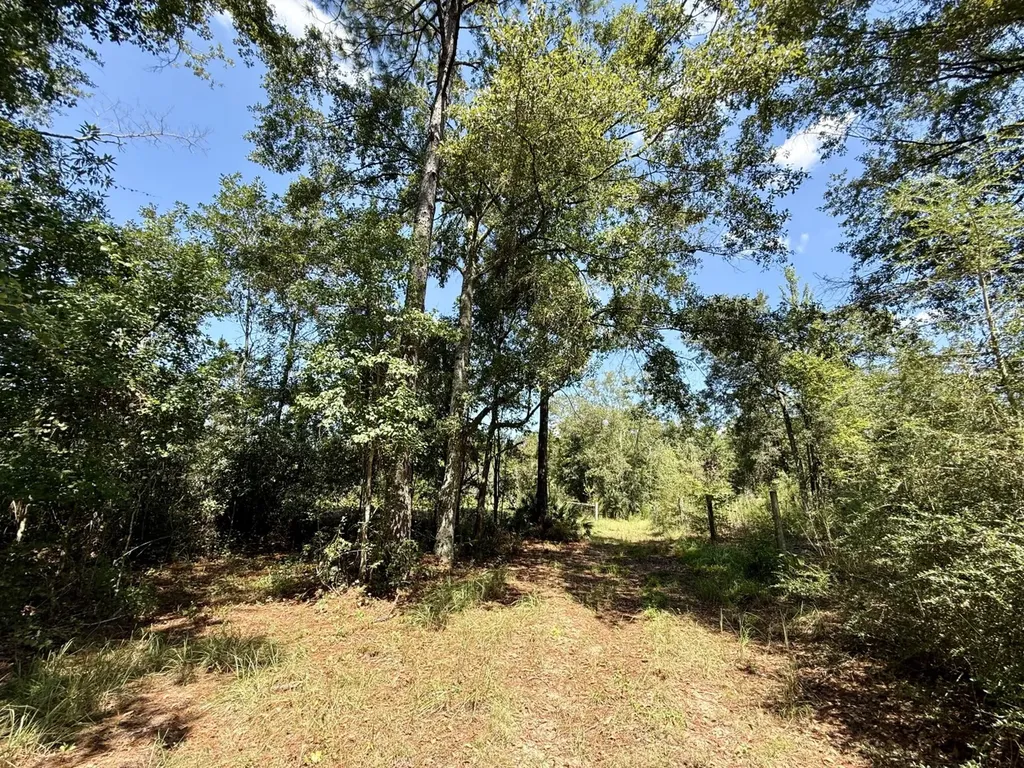 27505 Glass Road Robertsdale AL 36567