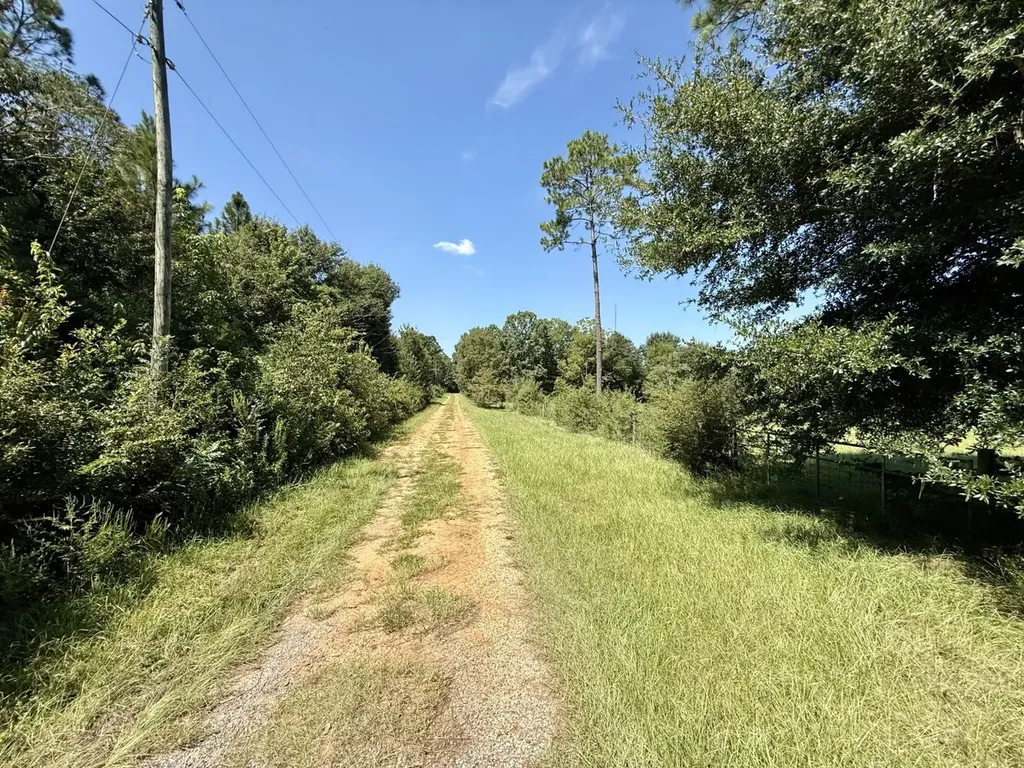 27505 Glass Road Robertsdale AL 36567