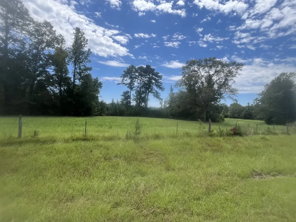 2 N Highway 167 New Brockton AL 36351
