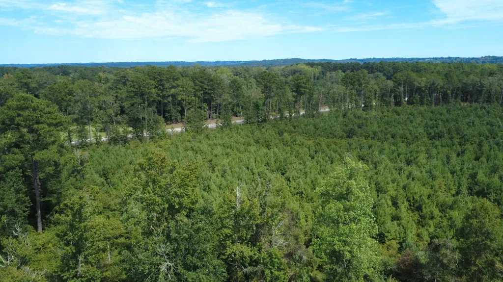 2 N Highway 167 New Brockton AL 36351