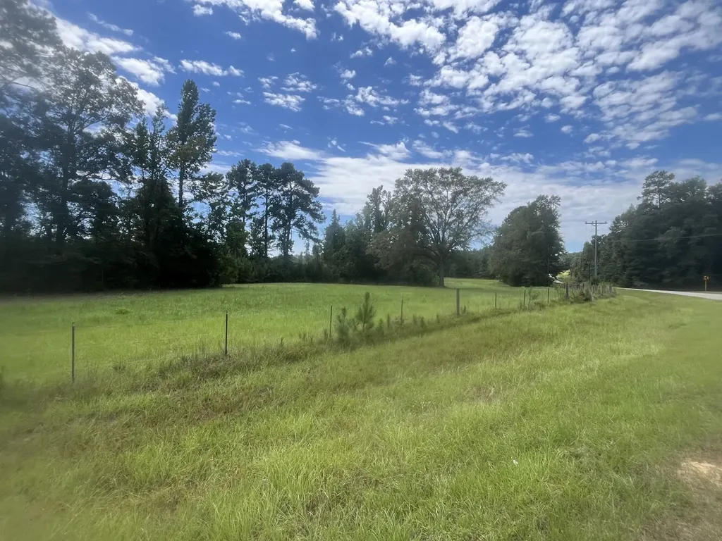2 N Highway 167 New Brockton AL 36351