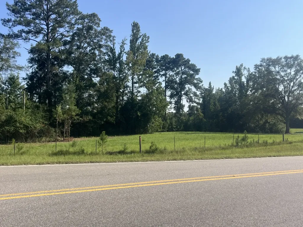 2 N Highway 167 New Brockton AL 36351