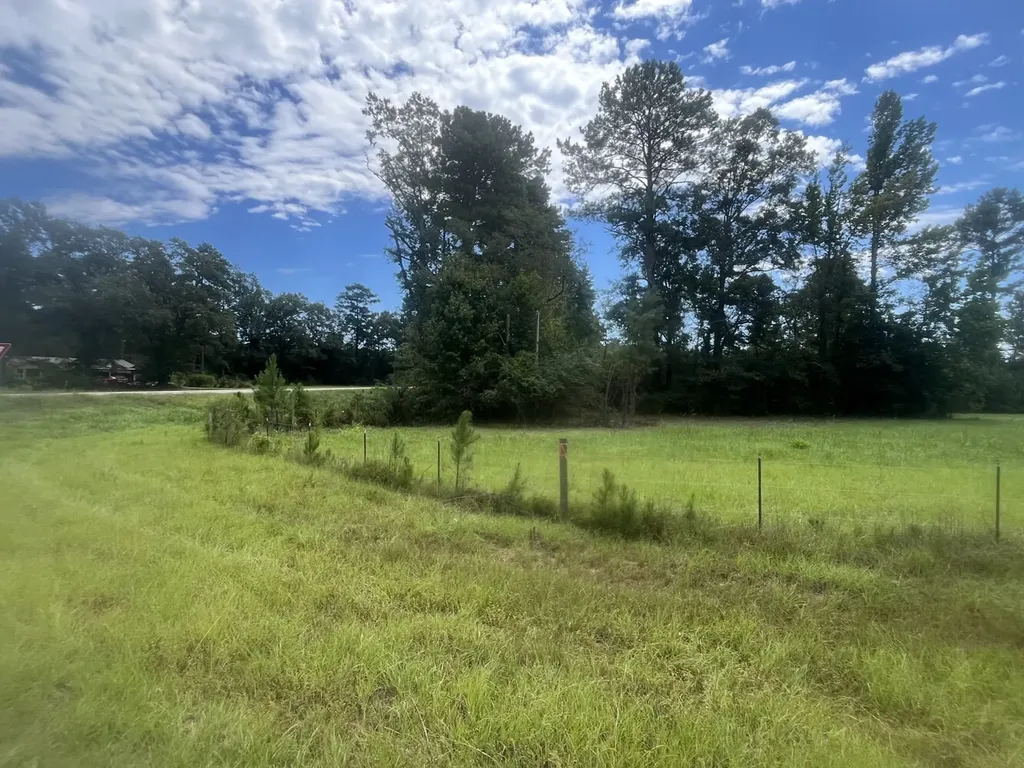 2 N Highway 167 New Brockton AL 36351