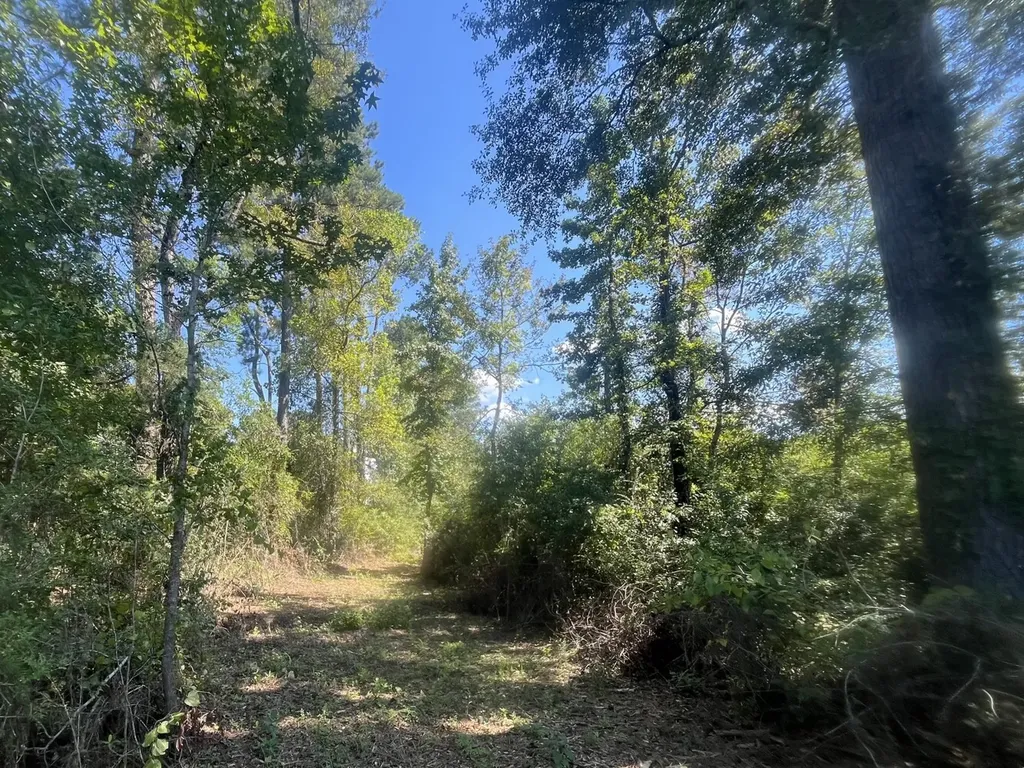 2 N Highway 167 New Brockton AL 36351