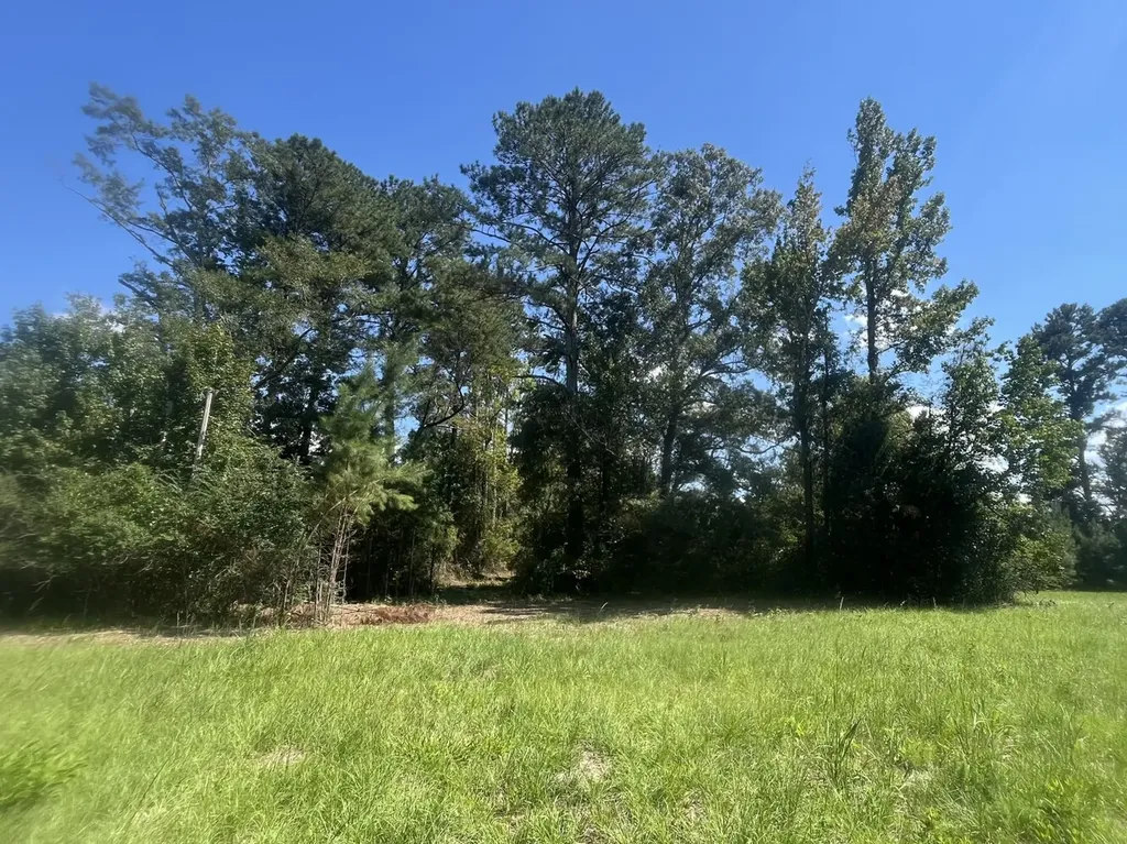 2 N Highway 167 New Brockton AL 36351