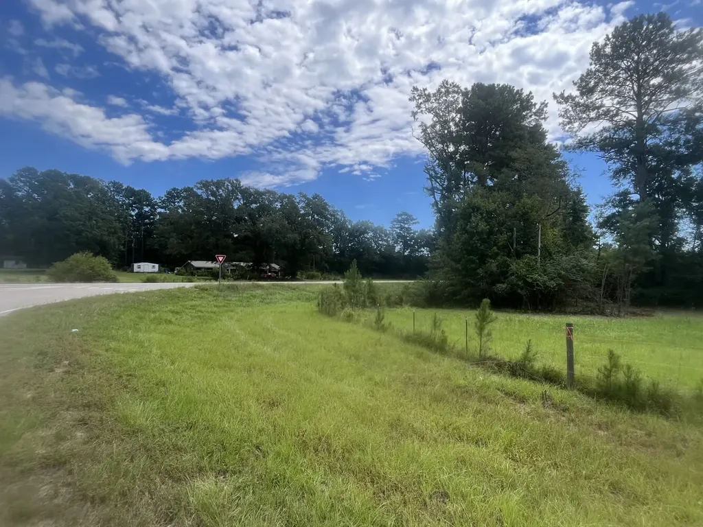 2 N Highway 167 New Brockton AL 36351