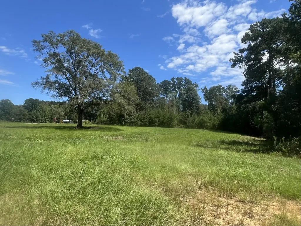 2 N Highway 167 New Brockton AL 36351