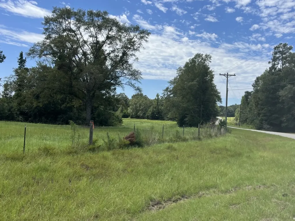 2 N Highway 167 New Brockton AL 36351