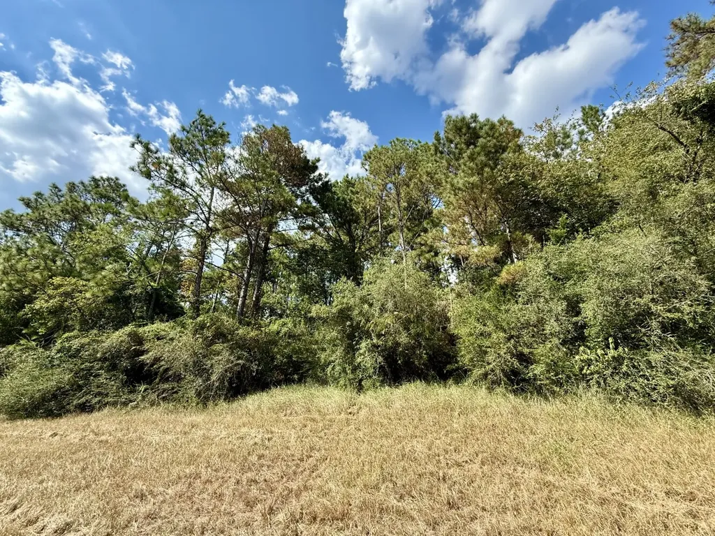 0 Interstate-10 Loxley AL 36551