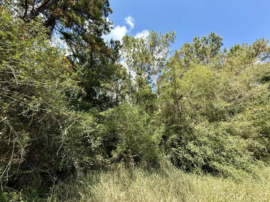 0 Interstate-10 Loxley AL 36551