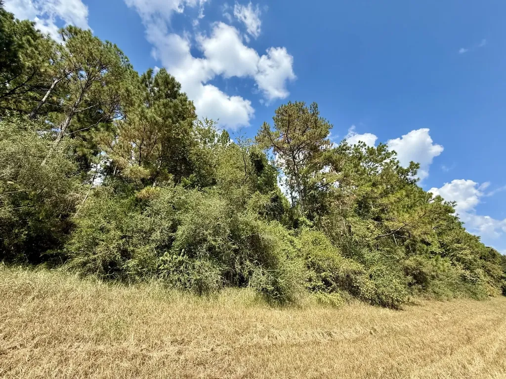 0 Interstate-10 Loxley AL 36551