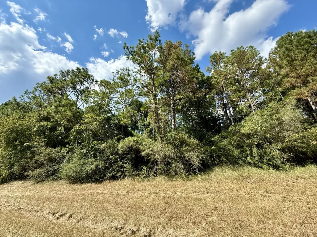 0 Interstate-10 Loxley AL 36551