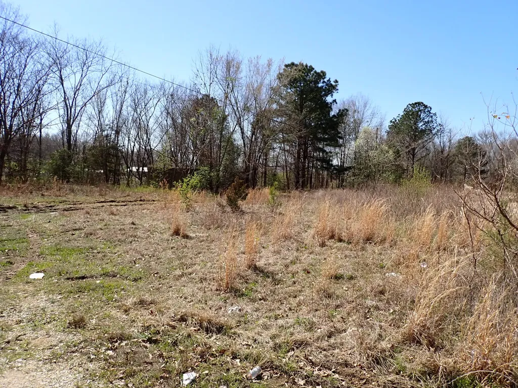 0 30th Avenue Northport AL 35476