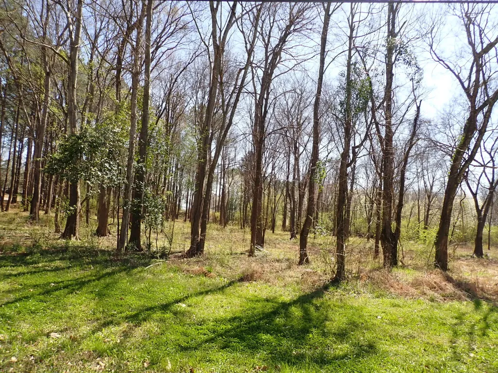 0 30th Avenue Northport AL 35476