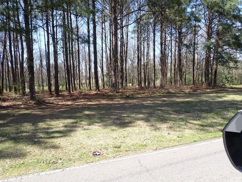 0 30th Avenue Northport AL 35476