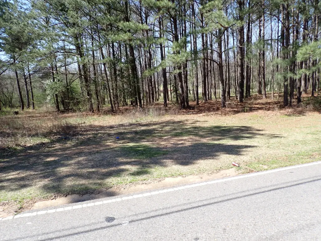 0 30th Avenue Northport AL 35476