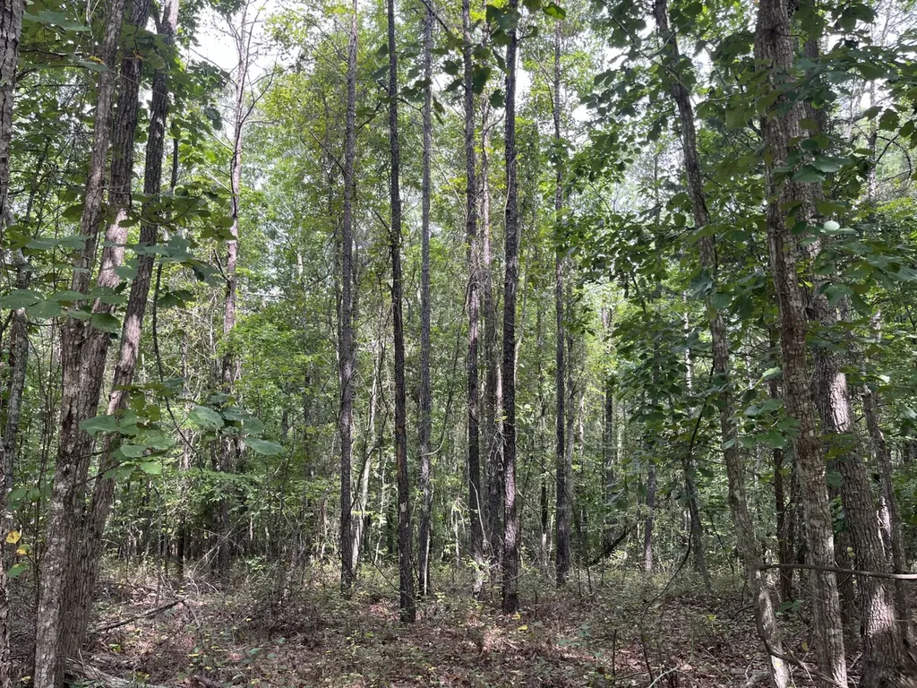 1423 Co Highway 25 Hamilton AL 35570