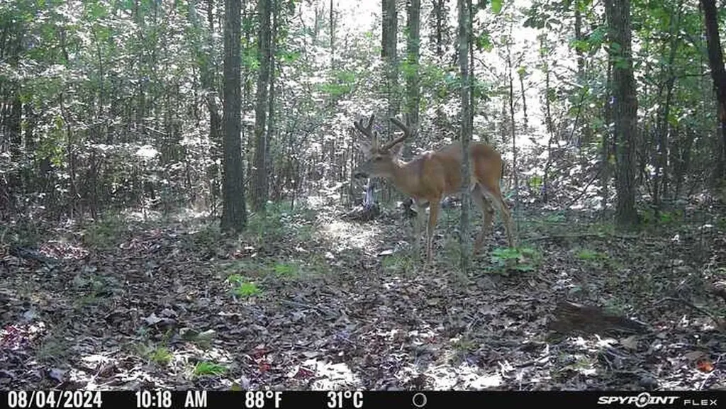 1423 Co Highway 25 Hamilton AL 35570