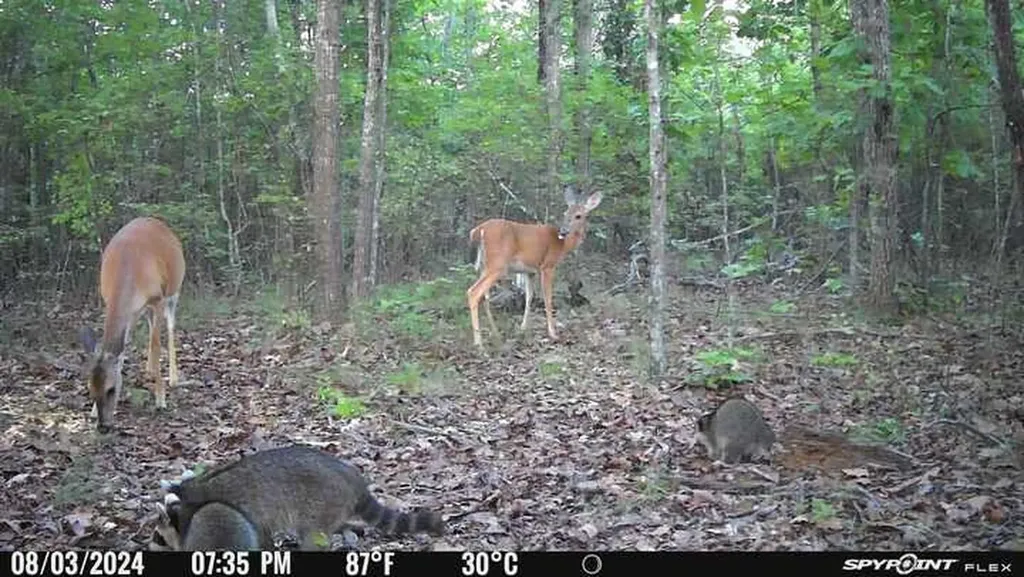 1423 Co Highway 25 Hamilton AL 35570