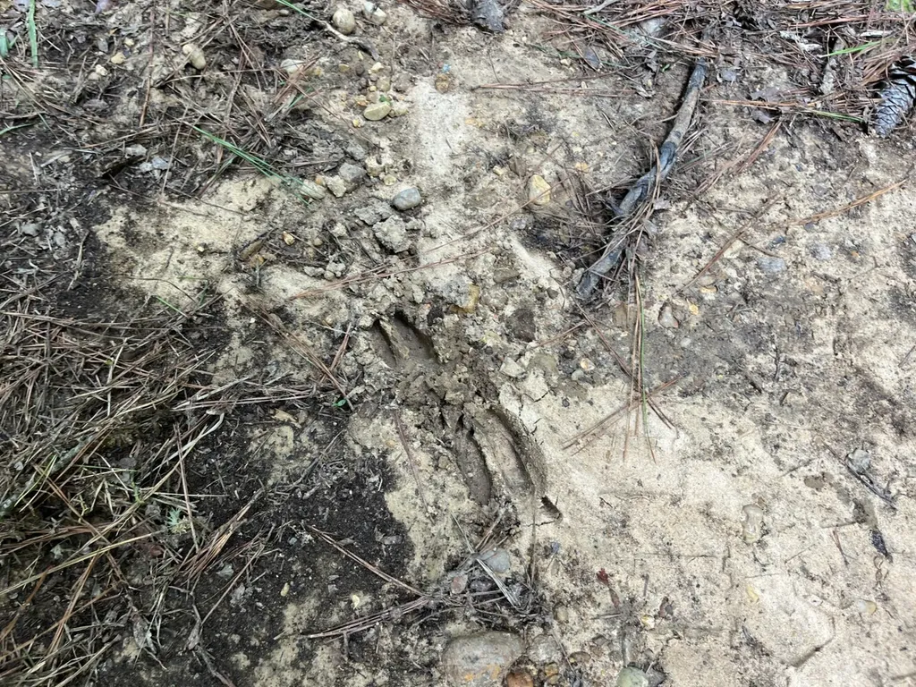 1423 Co Highway 25 Hamilton AL 35570