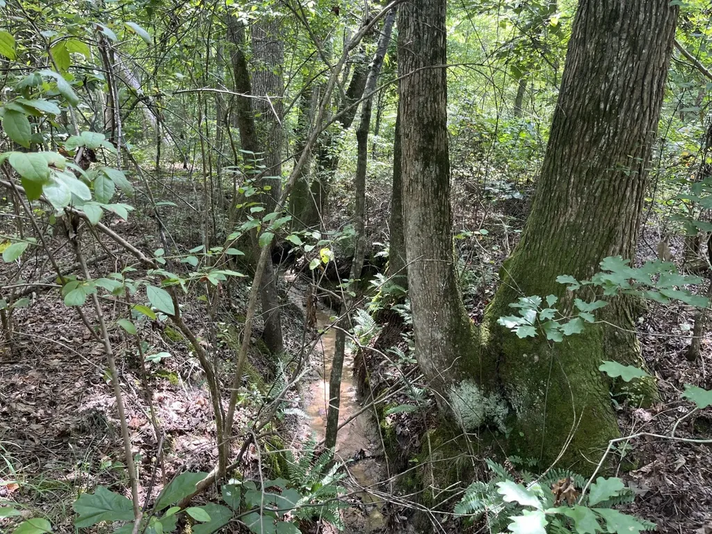 1423 Co Highway 25 Hamilton AL 35570