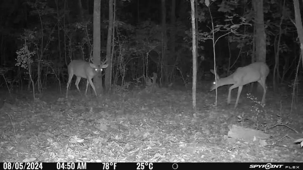 1423 Co Highway 25 Hamilton AL 35570