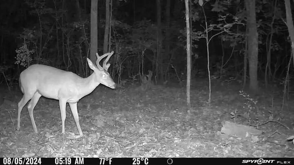 1423 Co Highway 25 Hamilton AL 35570