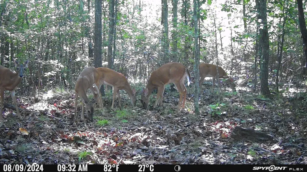 1423 Co Highway 25 Hamilton AL 35570