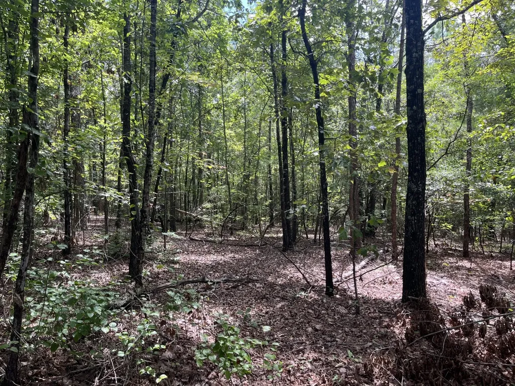 1423 Co Highway 25 Hamilton AL 35570