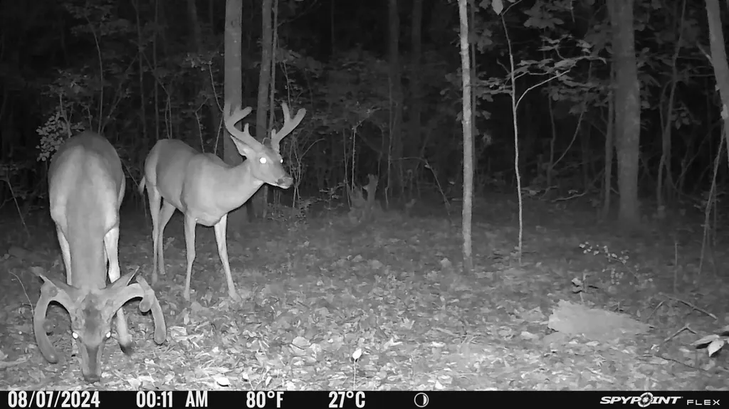 1423 Co Highway 25 Hamilton AL 35570