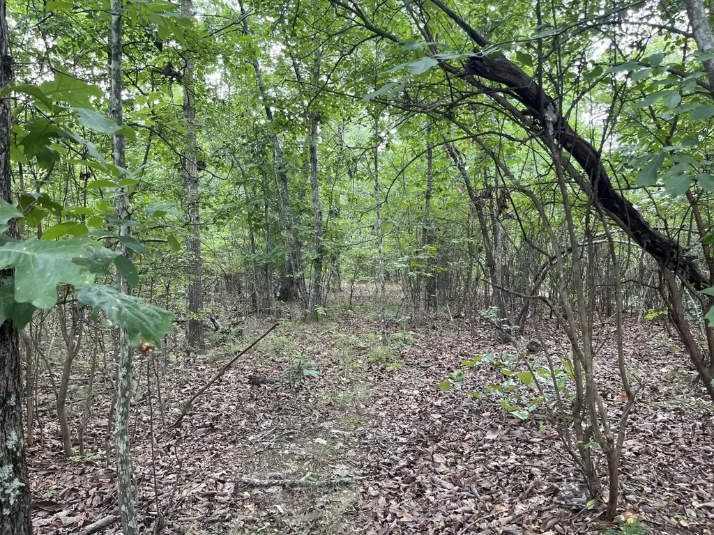 1423 Co Highway 25 Hamilton AL 35570