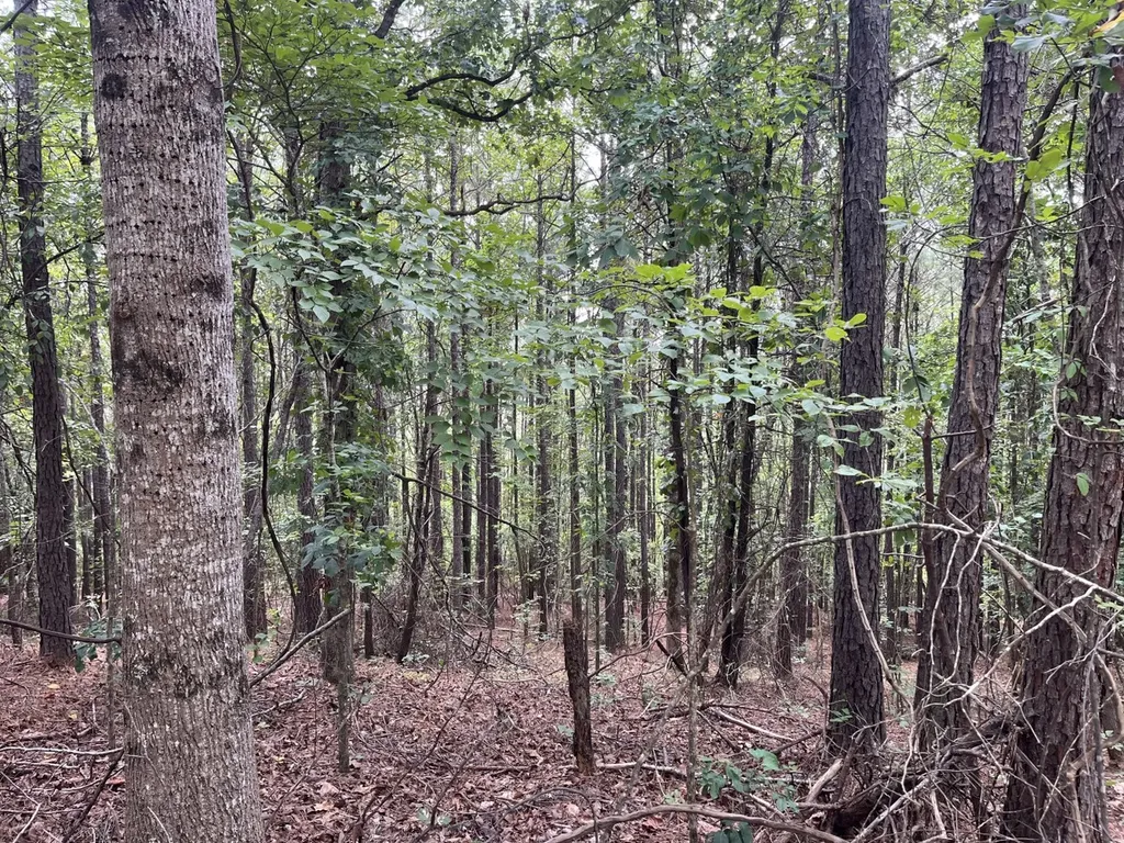 1423 Co Highway 25 Hamilton AL 35570