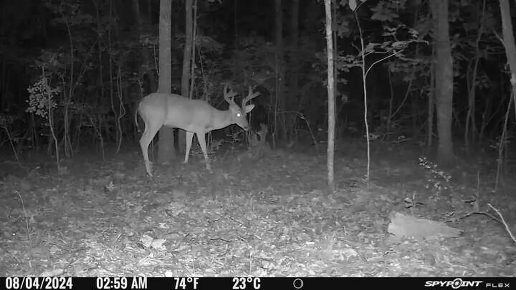 1423 Co Highway 25 Hamilton AL 35570