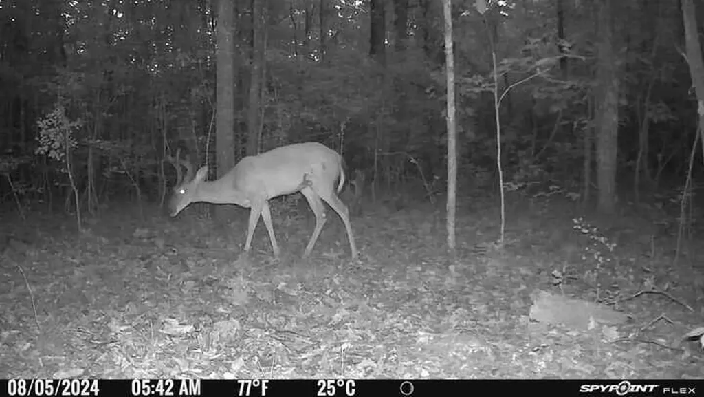 1423 Co Highway 25 Hamilton AL 35570