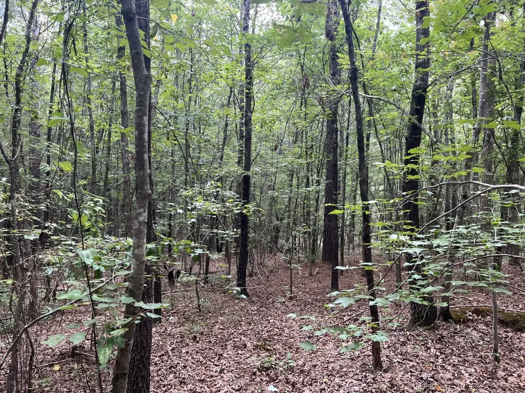 1423 Co Highway 25 Hamilton AL 35570